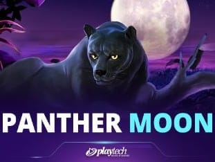 Panther Moon