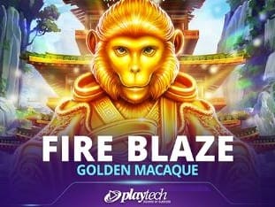 Golden Macaque